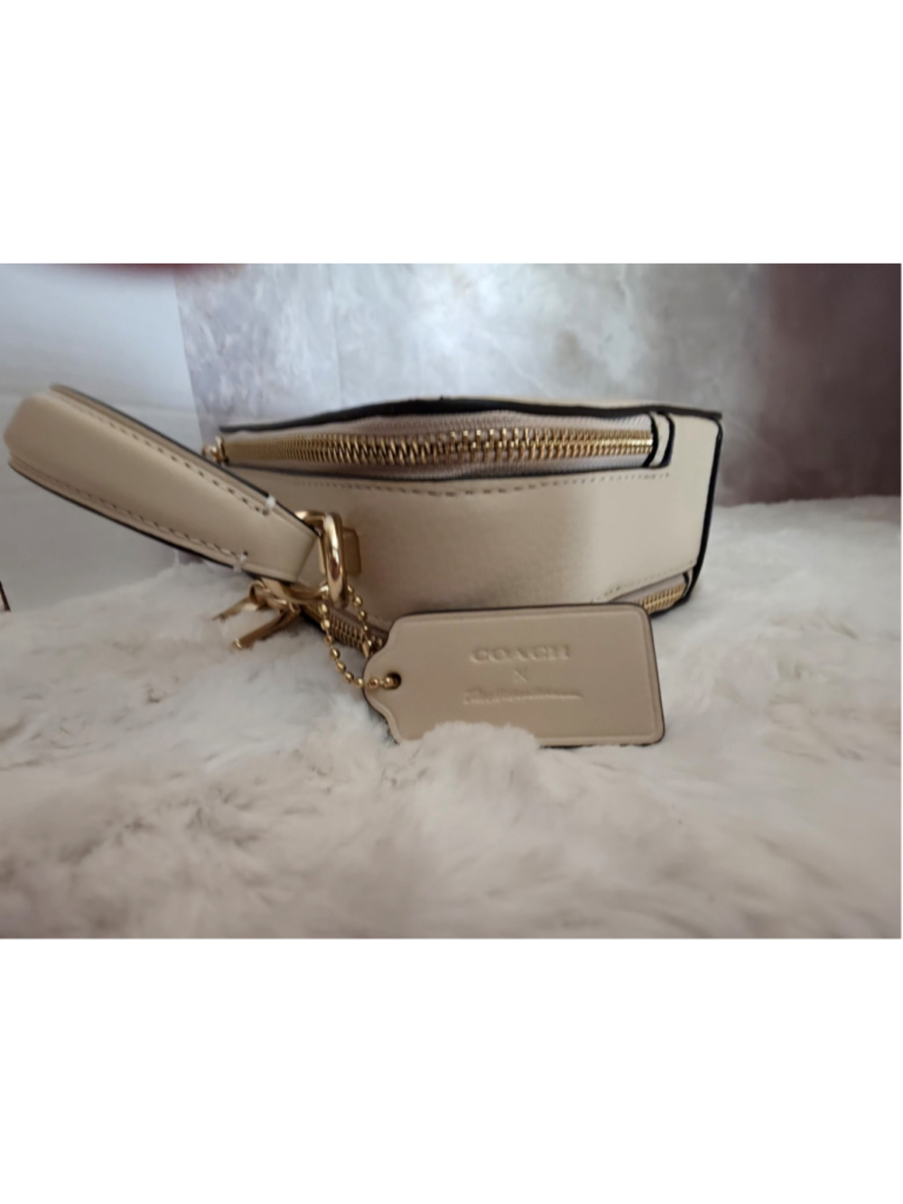 NWT Coach Tom Wesselmann Lunch Box Crossbody Ivory Leather CQ045 - Picture 8 of 12